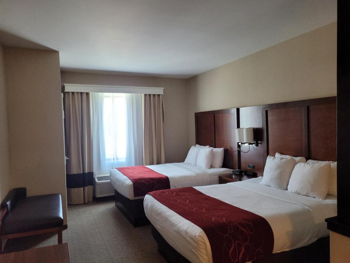 Suite avec 2 Lits Queen-Size et 1 Canapé-Lit